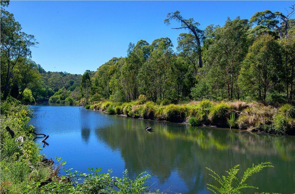 Berrima Bakehouse Motel Экстерьер фото